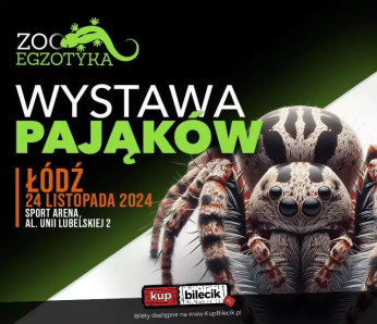 Łódź Wydarzenie Inne wydarzenie Wystawa pająków - ZooEgzotyka