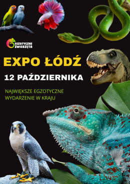 Łódź Wydarzenie Targi Egzotyczne zwierzęta